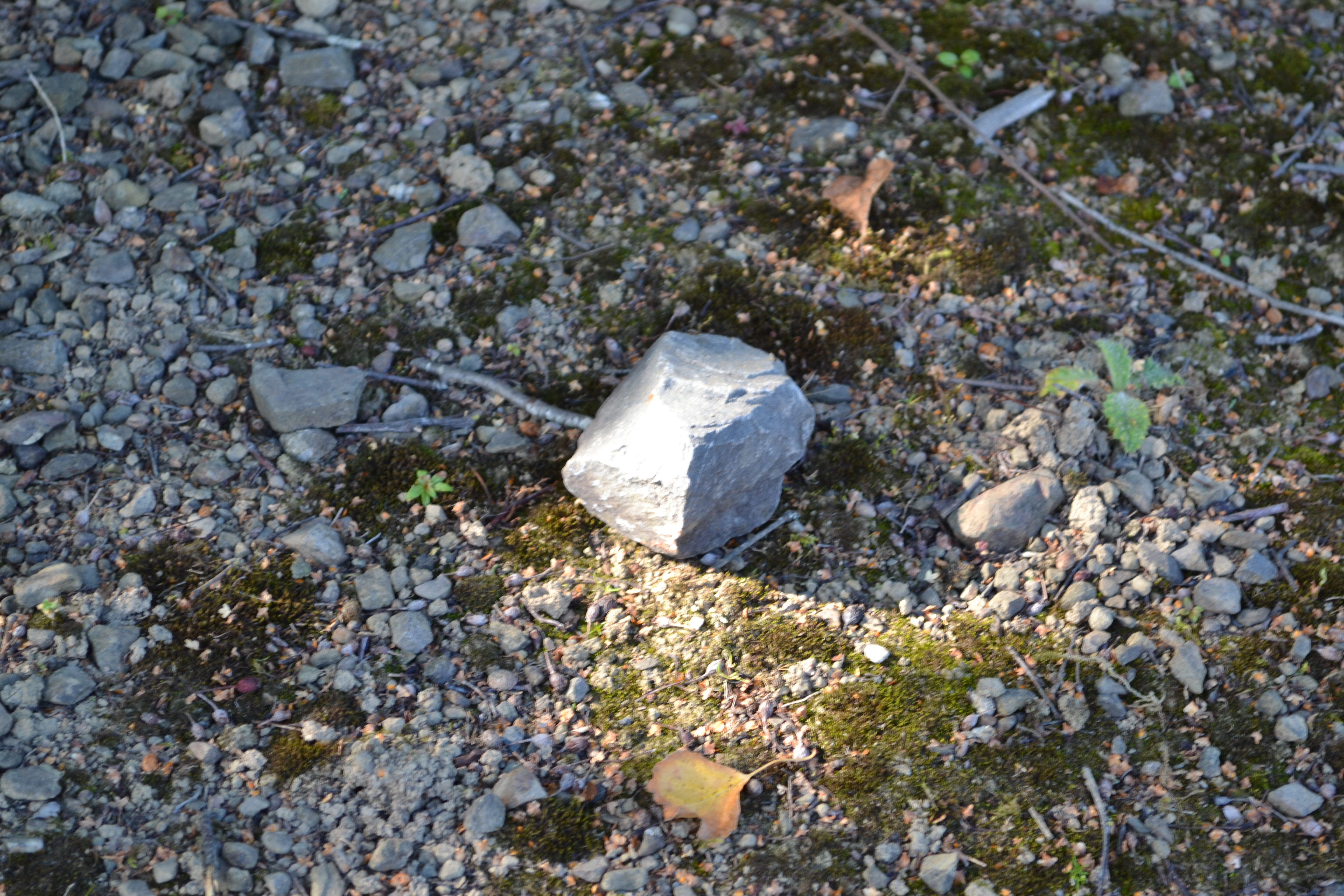 Rock of Light